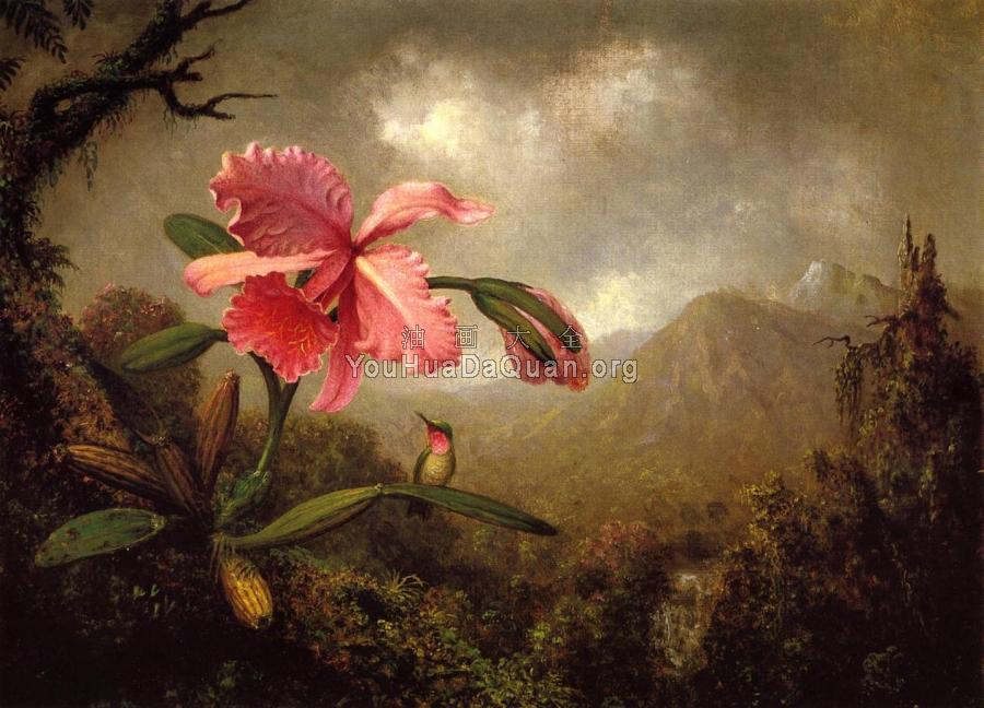 Orchid and Hummingbird near a Mountain Waterfall - 马丁·约翰逊·赫德